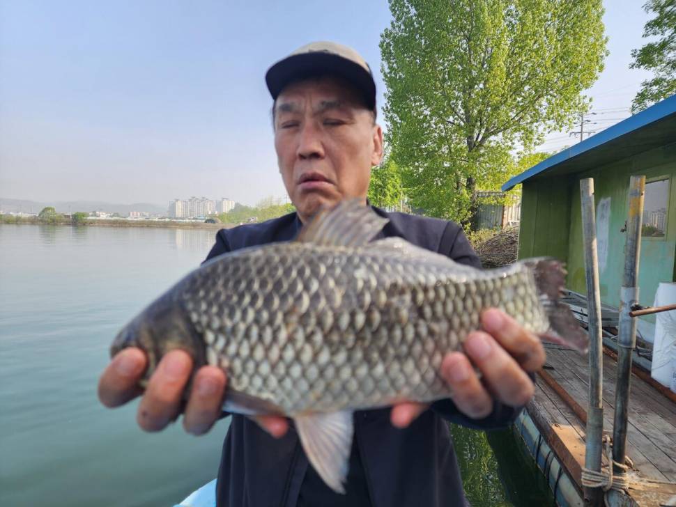 송전지 창신좌대 조황정보 (유료터정보 - 유료터점주조황)