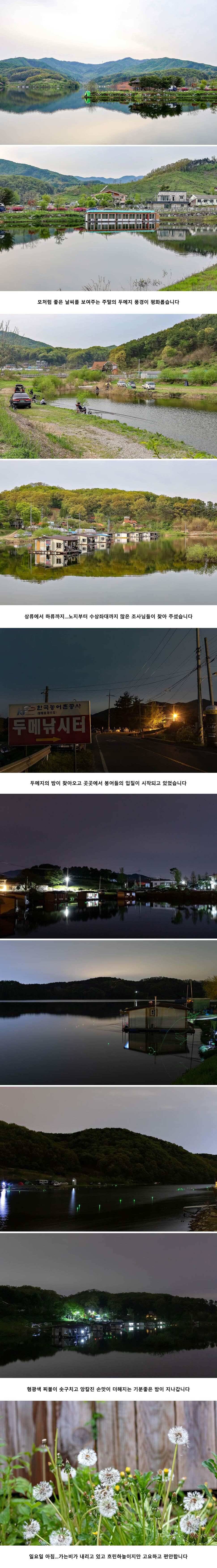안성 두메낚시터 4월 28일 조황정보 (유료터정보 - 유료터점주조황)