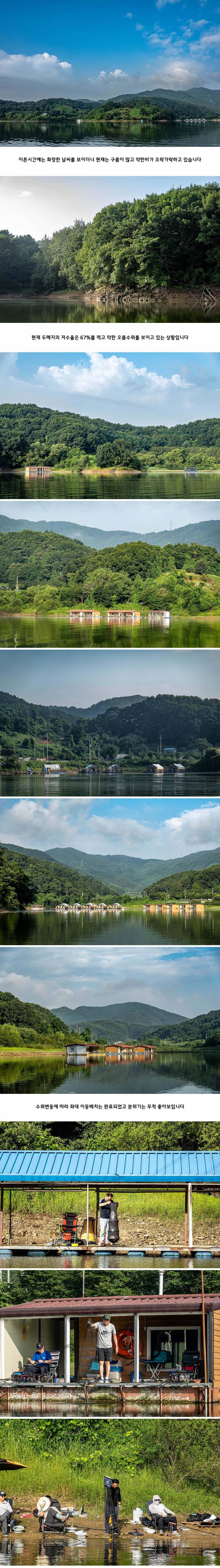 안성 두메낚시터 8월 15일 조황정보 (유료터정보 - 유료터점주조황)