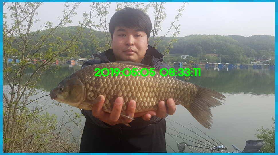 신원낚시터 토종대물 4짜가 풍년입니다풍년 (유료터정보 - 유료터점주조황)