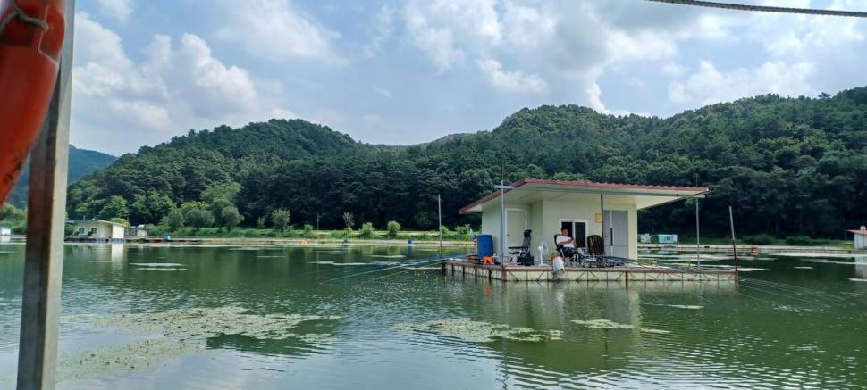 어우실지 주말만석에 감사합니다 하지만 마릿수였네요 봉순이도 휴기중ᆢ (유료터정보 - 유료터점주조황)