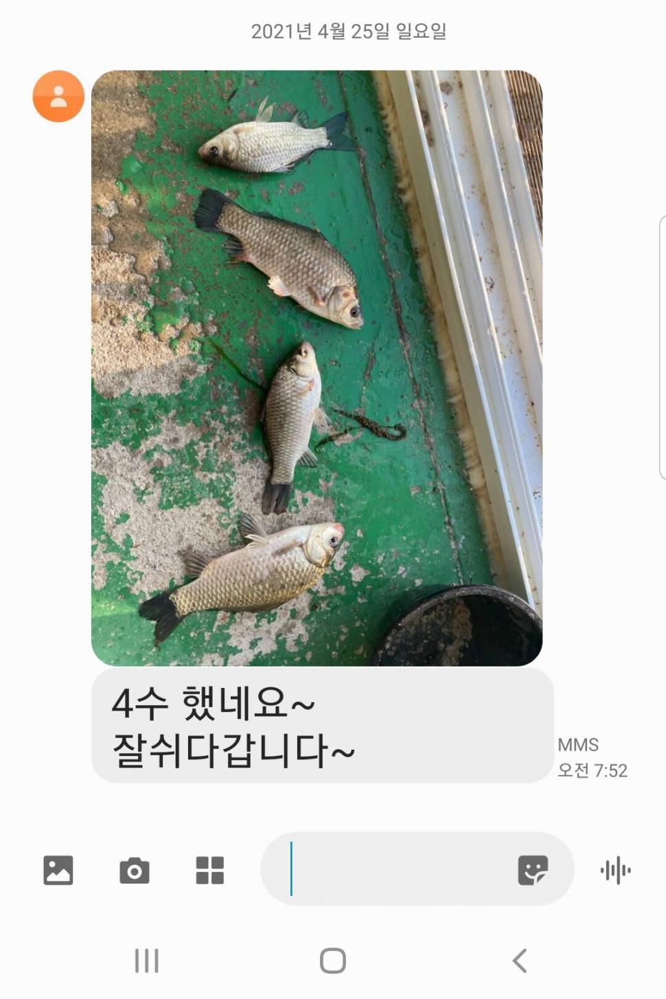 2021년 4월 마지막주 조황정보 용인 용담낚시터사암지 (유료터정보 - 유료터점주조황)