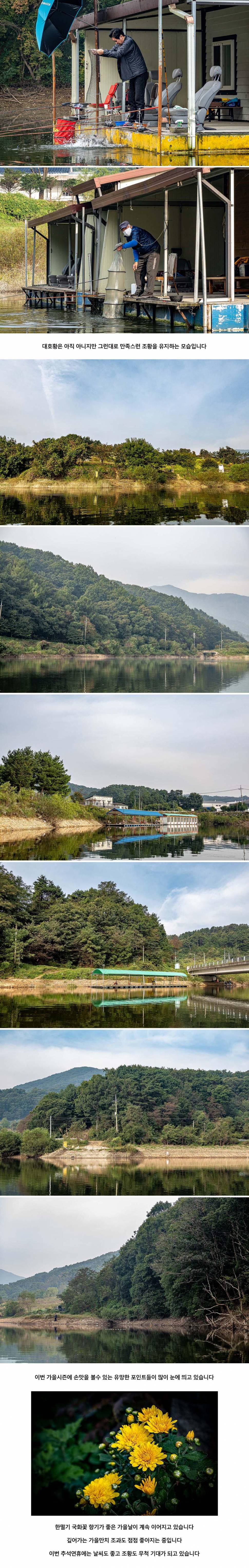 안성 두메낚시터 9월 29일 조황정보 (유료터정보 - 유료터점주조황)
