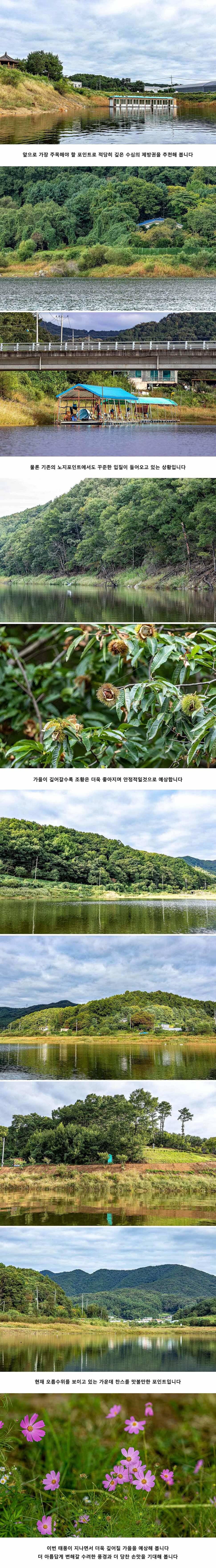 안성 두메낚시터 9월 23일 조황정보 (유료터정보 - 유료터점주조황)