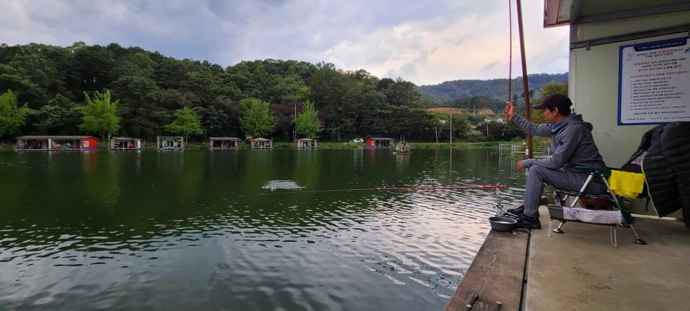 10월둘쨋주 힐링 수곡낚시터 주초 조황 및 방류 소식 (유료터정보 - 유료터점주조황)