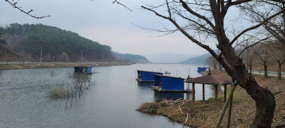 공주 고성낚시터 입니다 (유료터정보 - 유료터점주조황)