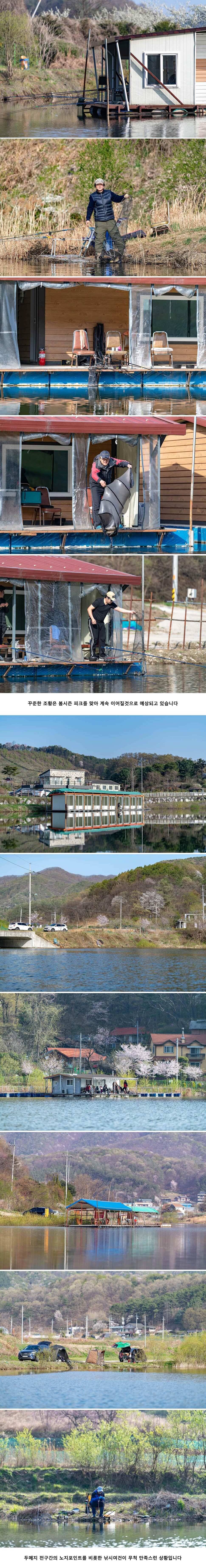 안성 두메낚시터 4월 20일 조황정보 (유료터정보 - 유료터점주조황)