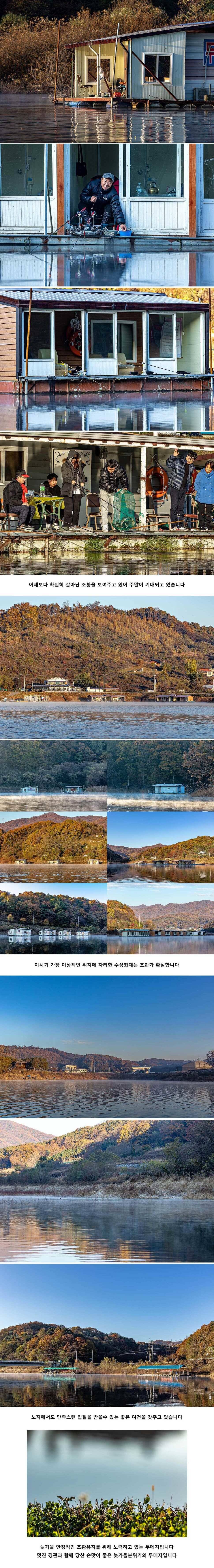 안성 두메낚시터 11월 9일 조황정보 (유료터정보 - 유료터점주조황)