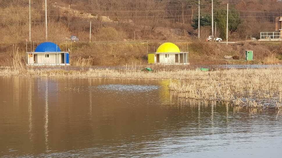 가교리 낚시터 3월 16일 조황입니다 (유료터정보 - 유료터점주조황)