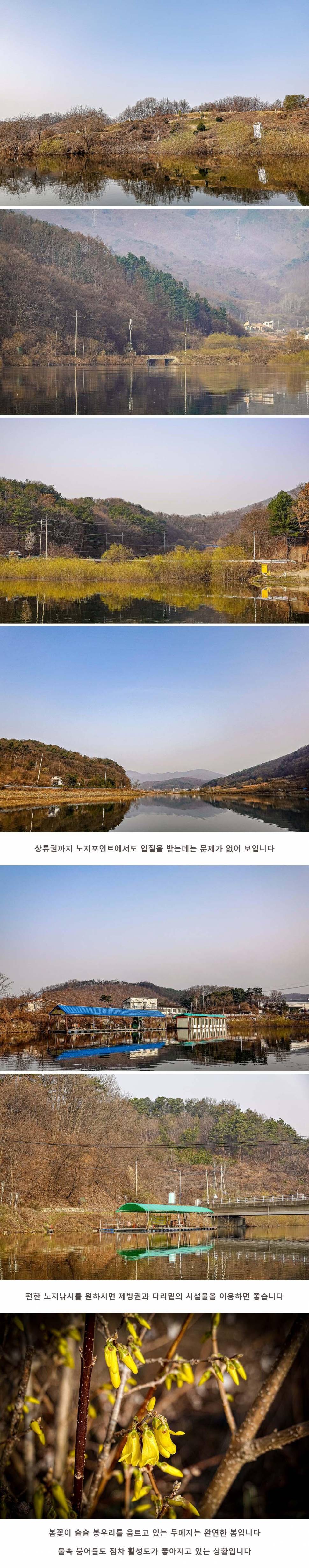 안성 두메낚시터 3월 23일 조황정보 (유료터정보 - 유료터점주조황)