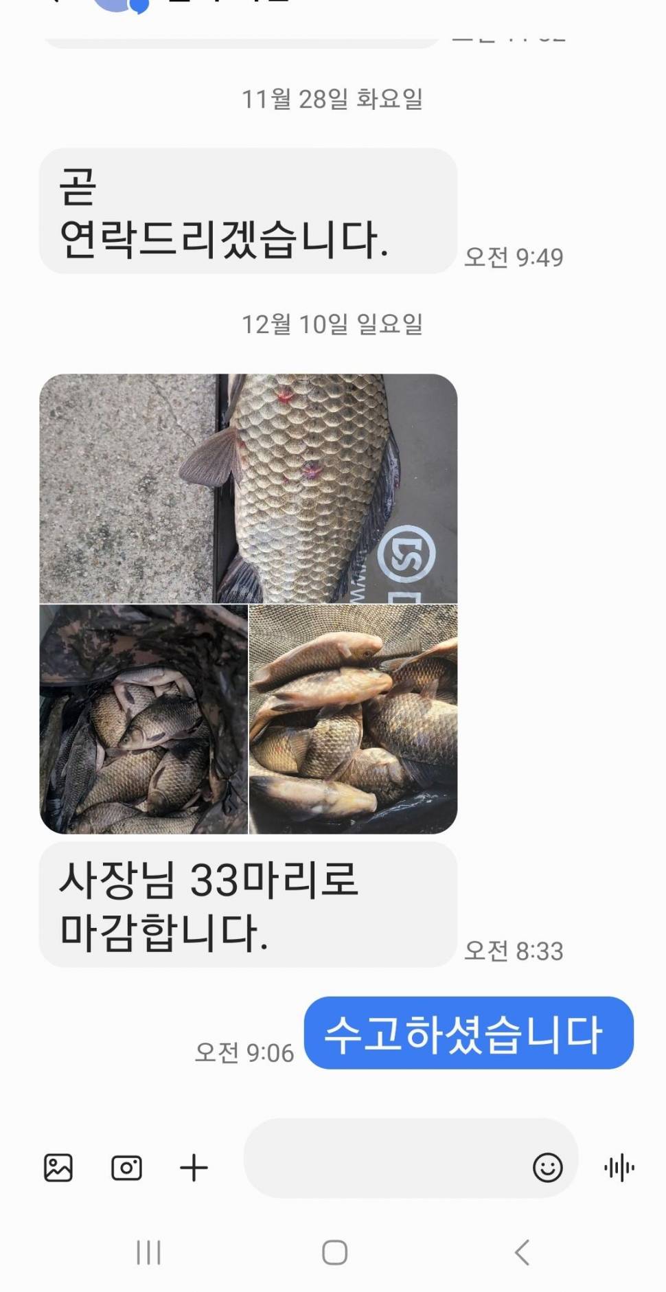 2023년 12월 셋째주 조황정보 용담낚시터사암지 (유료터정보 - 유료터점주조황)