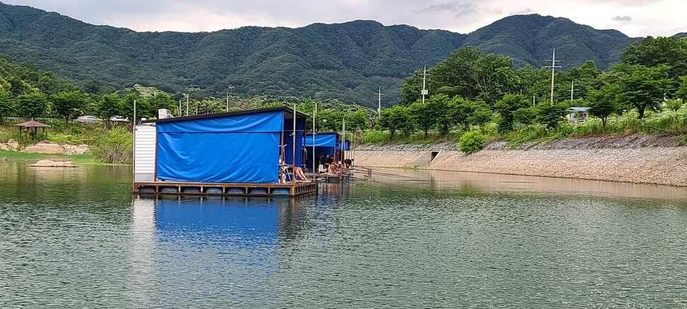 공주 고성낚시터 입니다 (유료터정보 - 유료터점주조황)