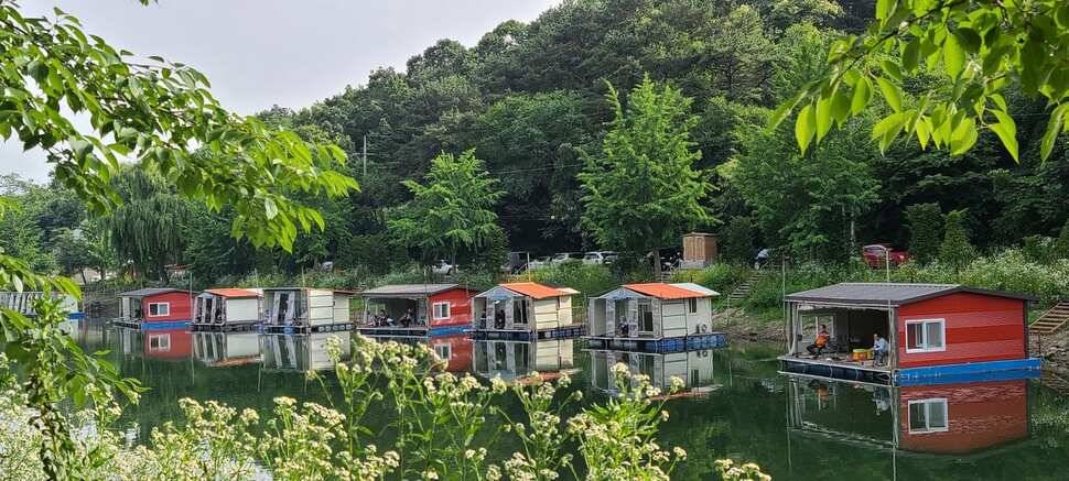수곡낚시터 6월16일 주중 조황 및 금일 붕어 방류 완료하였습니다 (유료터정보 - 유료터점주조황)