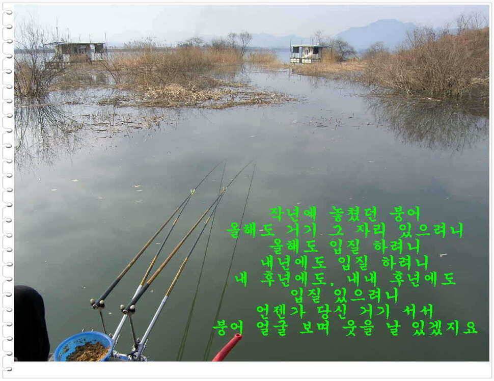 의암호 원일낚시터입니다 (유료터정보 - 유료터점주조황)