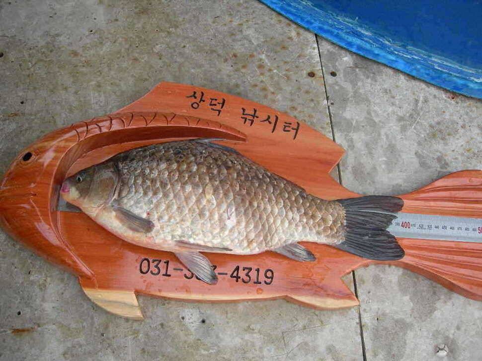 형제의 줄서기 (유료터정보 - 유료터점주조황)