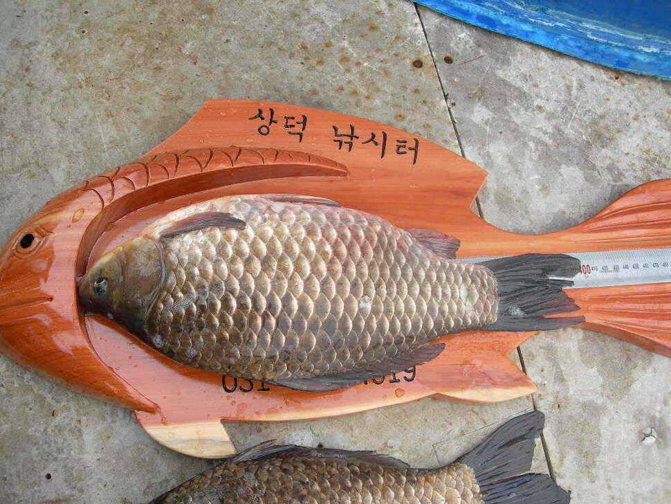 형제의 줄서기 (유료터정보 - 유료터점주조황)