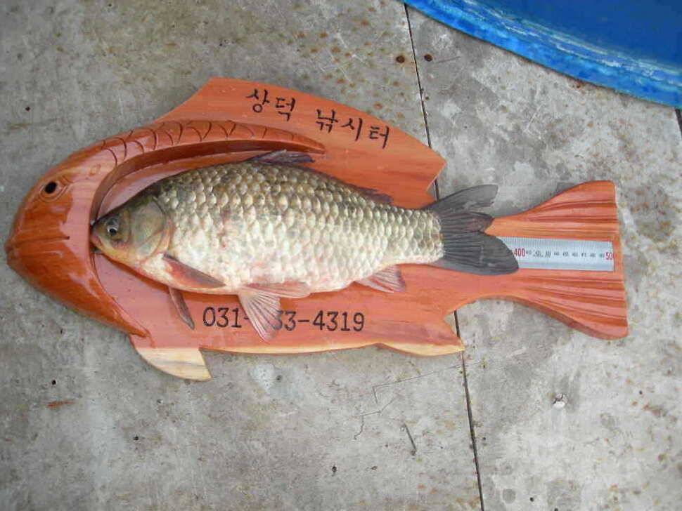 형제의 줄서기 (유료터정보 - 유료터점주조황)
