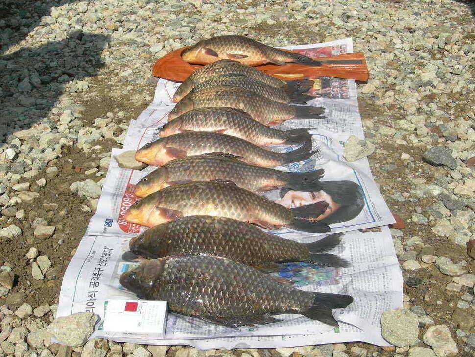 정식 개장전까지 전수면을 쌍포밤낚시 가능한 임시 손맛터로 운영합니다 (유료터정보 - 유료터점주조황)