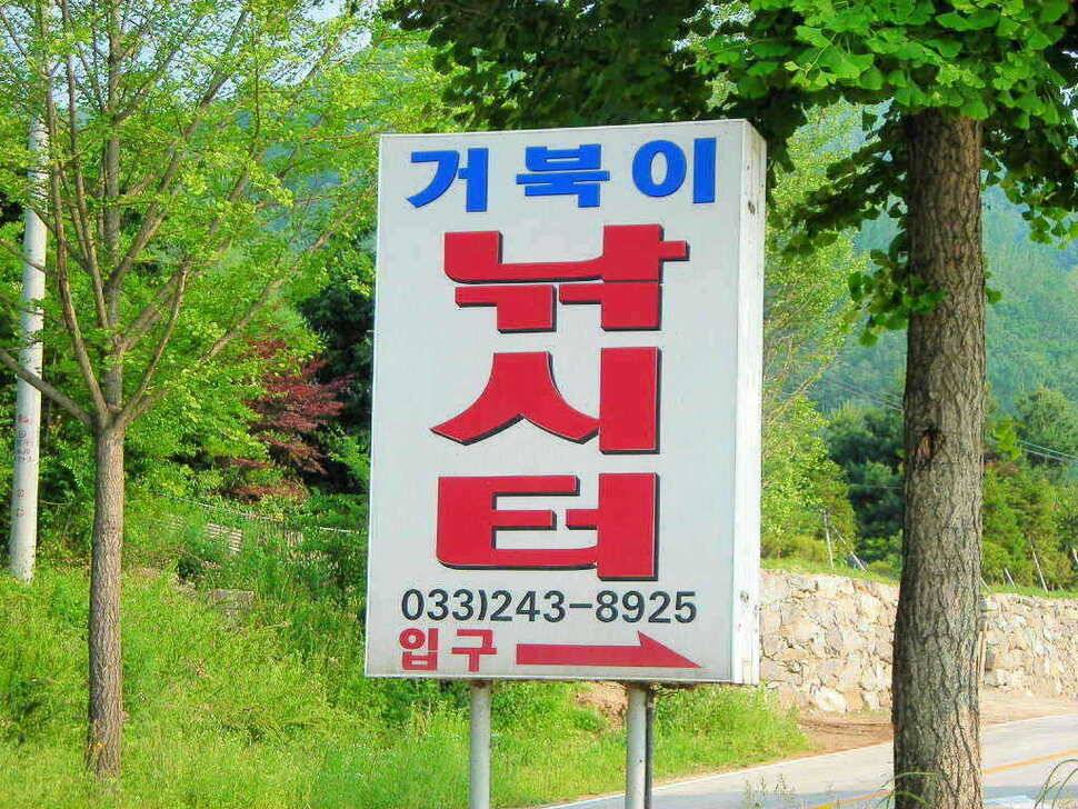 유료터정보 > 유료터점주조황 > 의암거북낚시터소식