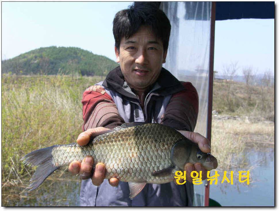 의암호 원일 토일요일 조황입니다 (유료터정보 - 유료터점주조황)