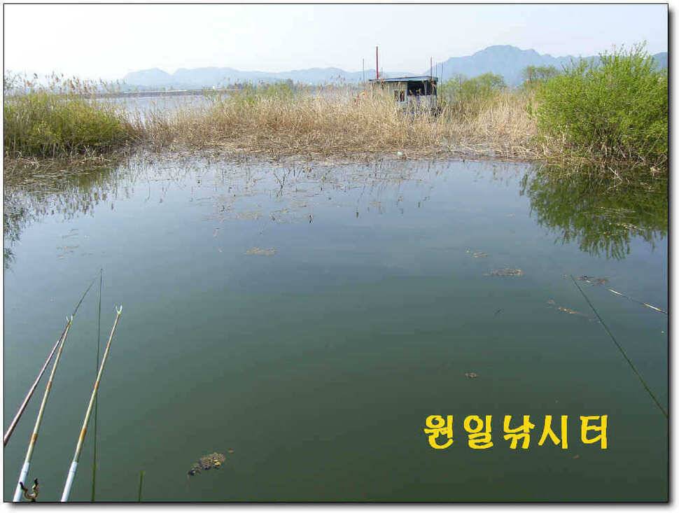 의암호 원일 토일요일 조황입니다 (유료터정보 - 유료터점주조황)
