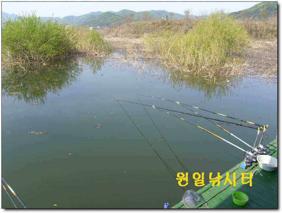 의암호 원일 토일요일 조황입니다 (유료터정보 - 유료터점주조황)