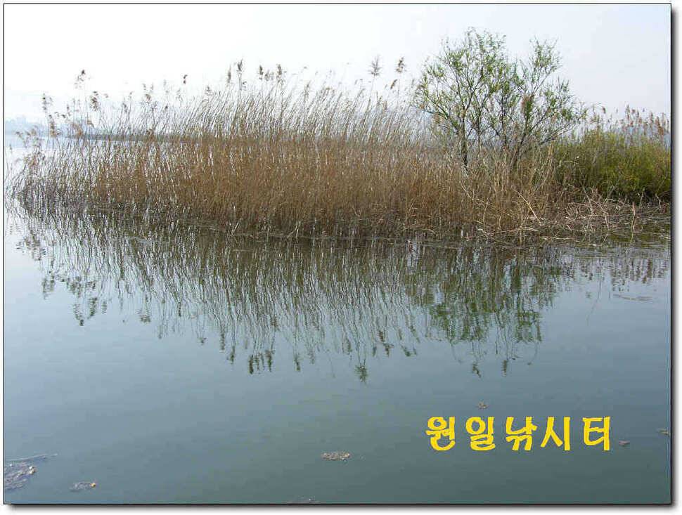 의암호 원일 토일요일 조황입니다 (유료터정보 - 유료터점주조황)