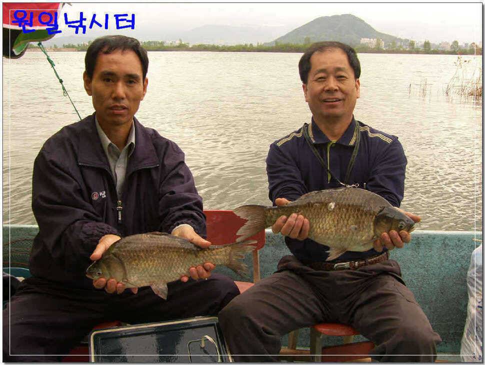 바람이 밤새 불던 날 (유료터정보 - 유료터점주조황)