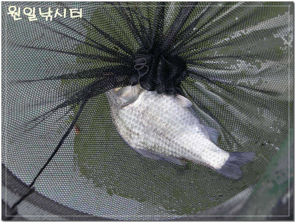 바람이 밤새 불던 날 (유료터정보 - 유료터점주조황)