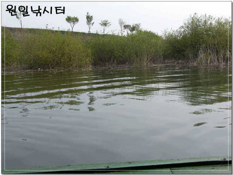 바람이 밤새 불던 날 (유료터정보 - 유료터점주조황)