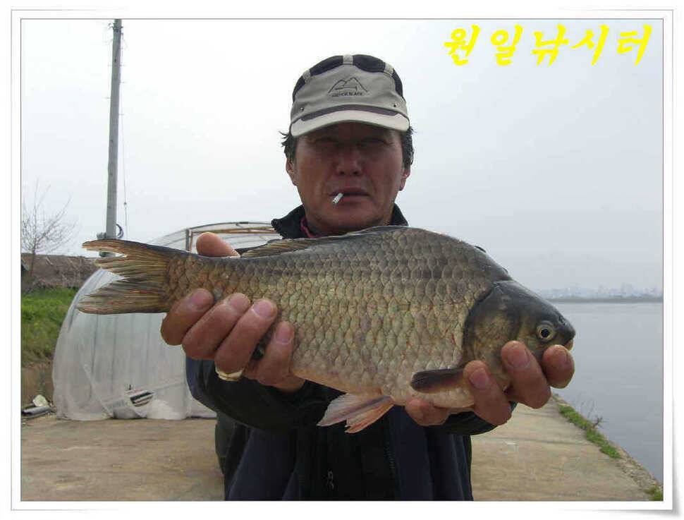 4월의 마지막날 조황입니다 (유료터정보 - 유료터점주조황)
