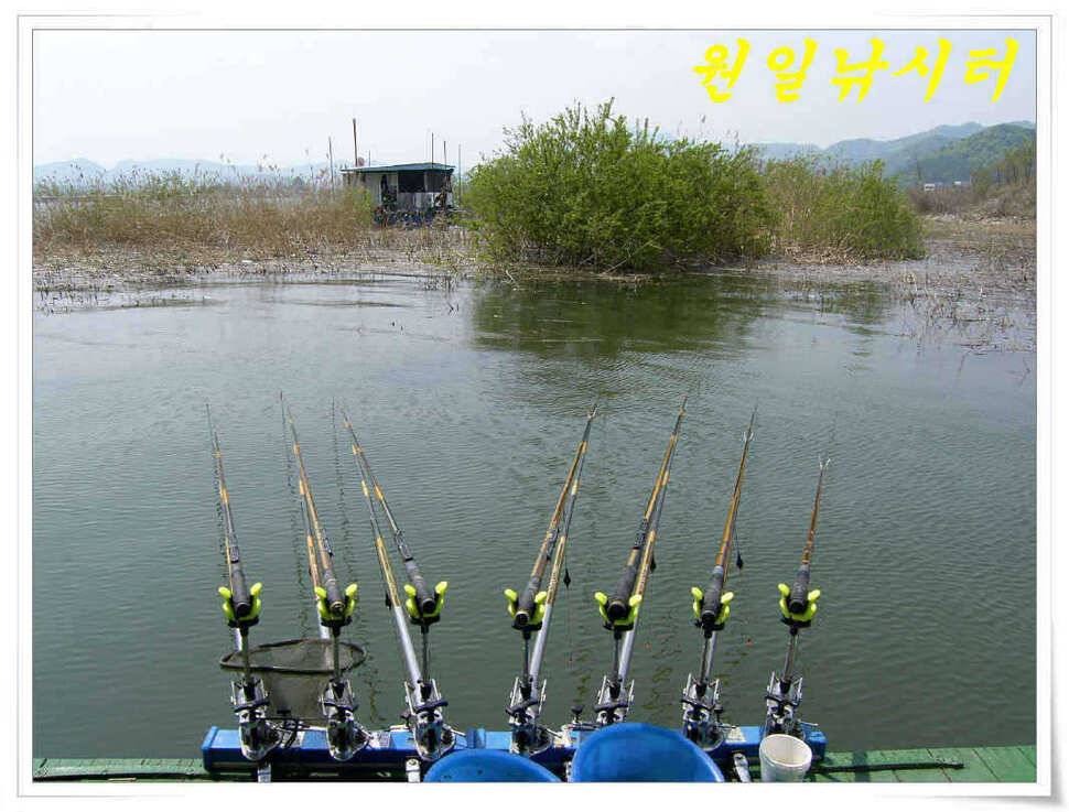 4월의 마지막날 조황입니다 (유료터정보 - 유료터점주조황)