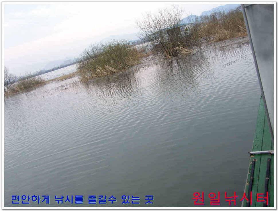 원일낚시터 조황 (유료터정보 - 유료터점주조황)