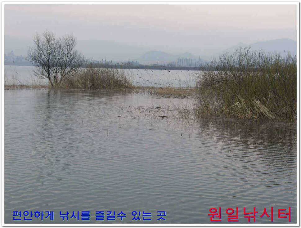 원일낚시터 조황 (유료터정보 - 유료터점주조황)