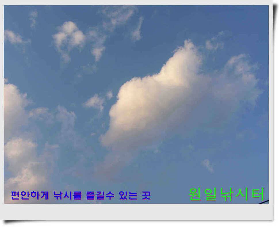 추운날 원일낚시터 조황 (유료터정보 - 유료터점주조황)