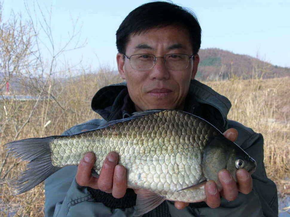 원일낚시터 조황 (유료터정보 - 유료터점주조황)