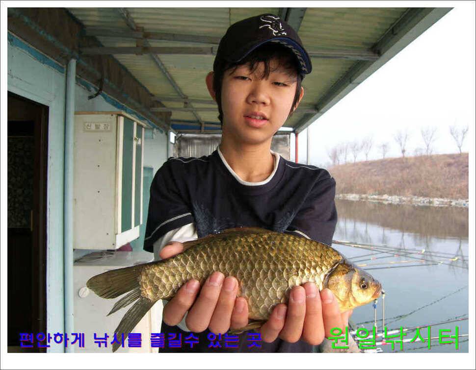 의암호 원일낚시터 조황정보 (유료터정보 - 유료터점주조황)