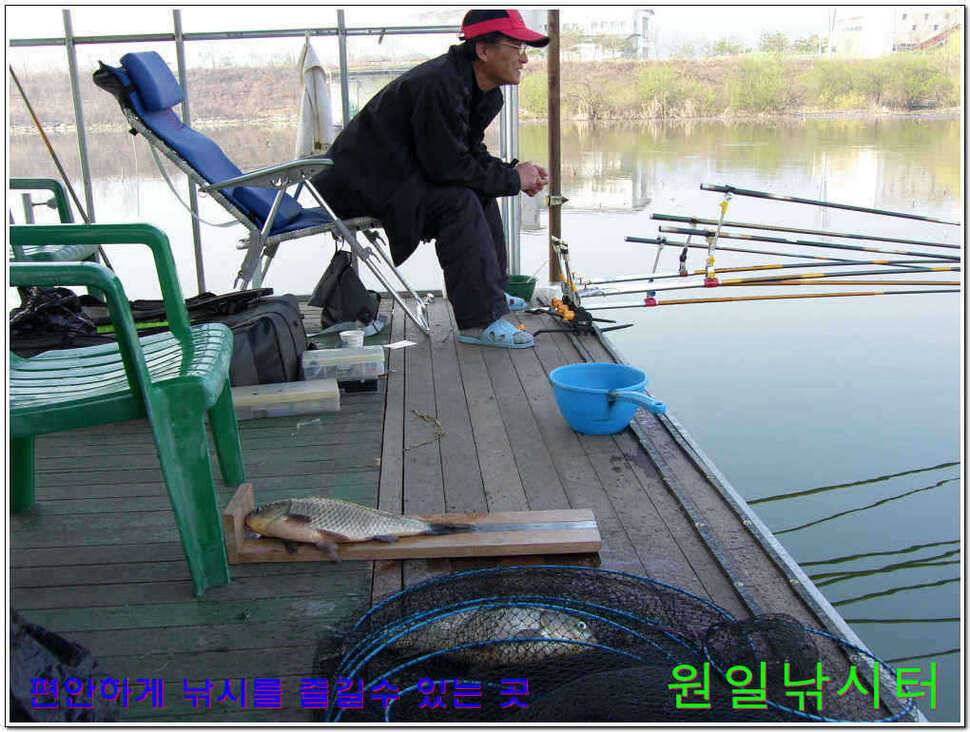 떡붕어 보이기 시작 (유료터정보 - 유료터점주조황)
