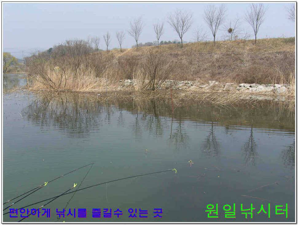 떡붕어 보이기 시작 (유료터정보 - 유료터점주조황)