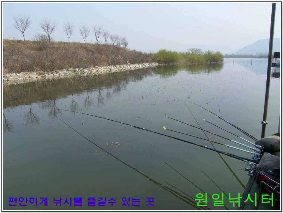 떡붕어 보이기 시작 (유료터정보 - 유료터점주조황)