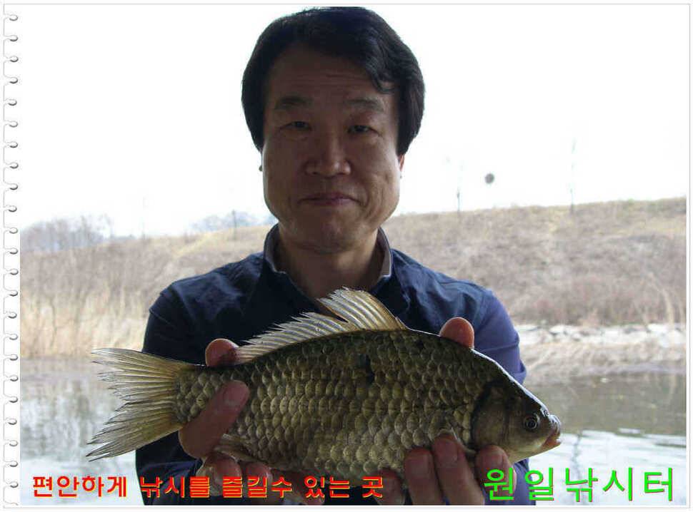 일요일 월요일조황 (유료터정보 - 유료터점주조황)