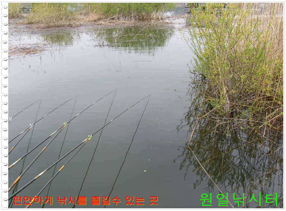 일요일 월요일조황 (유료터정보 - 유료터점주조황)