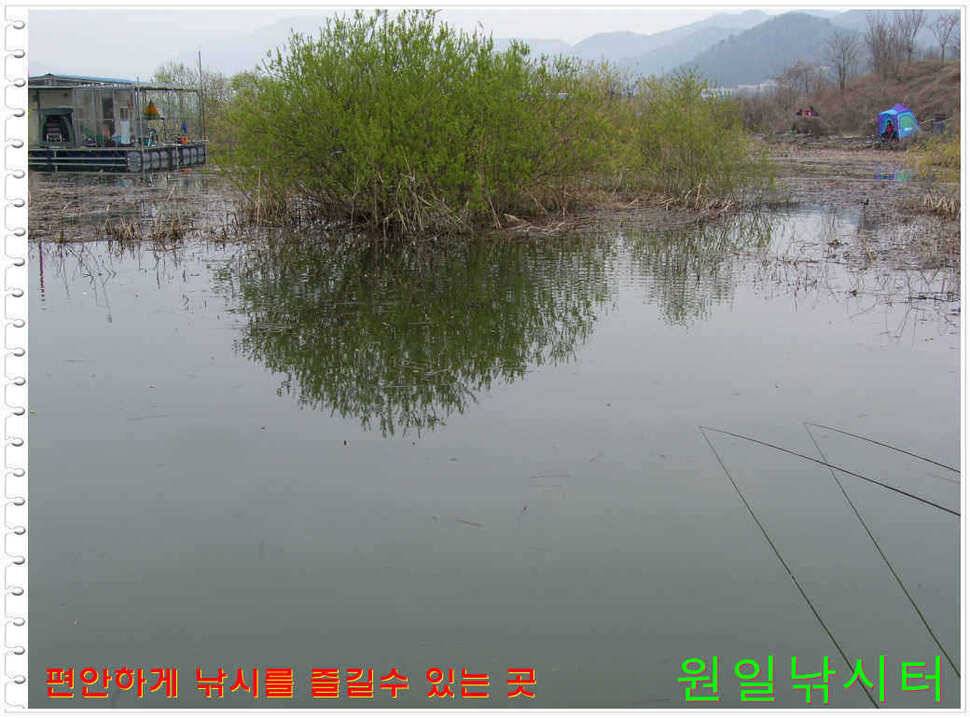 일요일 월요일조황 (유료터정보 - 유료터점주조황)