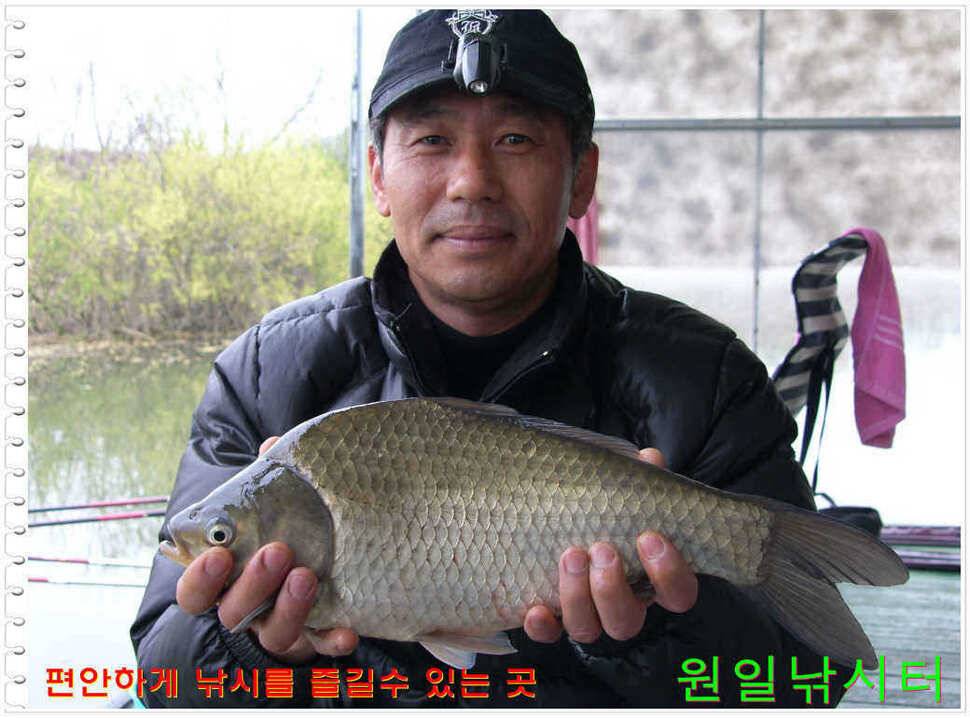 일요일 월요일조황 (유료터정보 - 유료터점주조황)