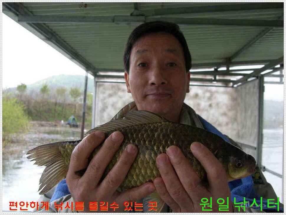 35Cm포함 다수 월척 (유료터정보 - 유료터점주조황)