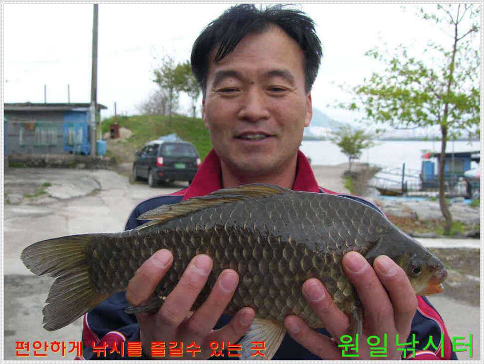 35Cm포함 다수 월척 (유료터정보 - 유료터점주조황)