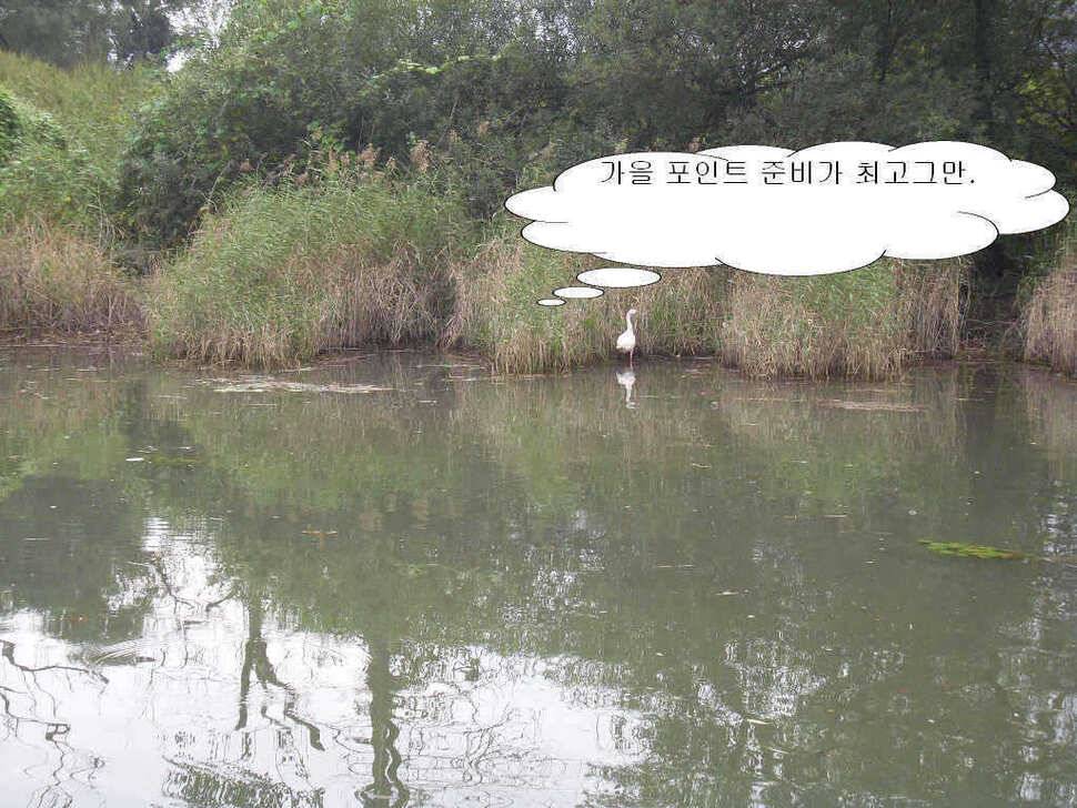 한가위 연휴가 끝나가며 (유료터정보 - 유료터점주조황)