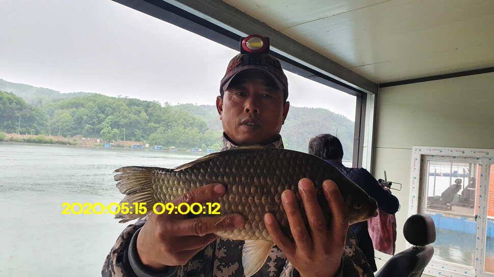 신원낚시터 5월25일 토종대물 43짜리와 덩어리 사진입니다 (유료터정보 - 유료터점주조황)