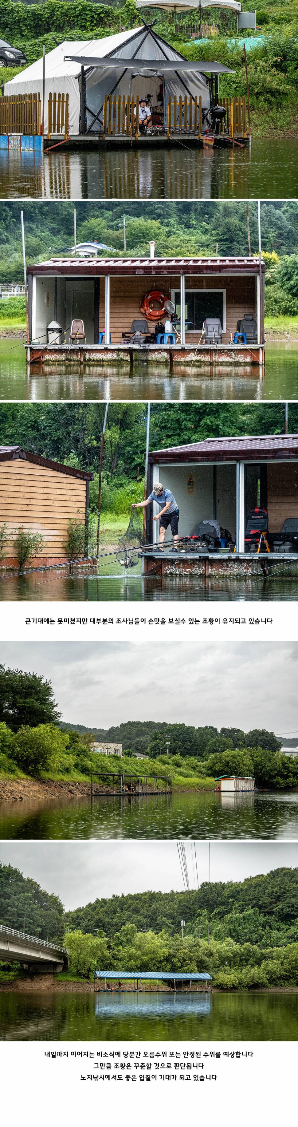 안성 두메낚시터 8월 13일 조황정보 (유료터정보 - 유료터점주조황)