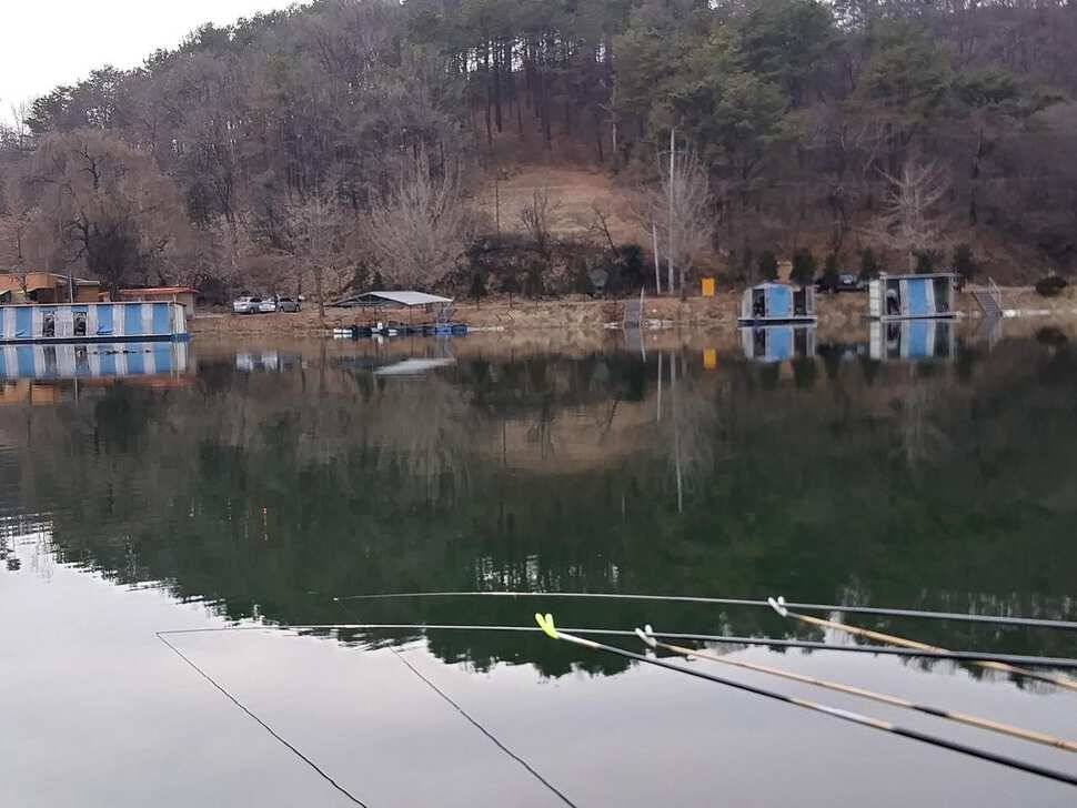 양평 힐링 수곡낚시터 연휴 조황 및 붕어 방류 안내 (유료터정보 - 유료터점주조황)